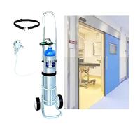 Chariot Transport Sécurisé pour Bouteille d'Oxygène - Support Réglable 2L-20L avec Roues Silencieuses - Usage Domicile & Établissements Médicaux
