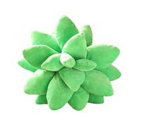 Charmant Coussin En Peluche Succulente - Coussin Doux En Forme De Plante Pour La Décoration Intérieure, Accent Confortable Et Élégant