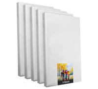Châssis à clous - 5 pièces - 30 x 80 cm - toile blanche en polyester pour artistes - à peindre - déjà tendue - convient pour les peintures acryliques ou textiles