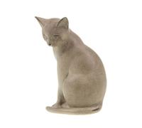 Chat assis naturel - Amadeus