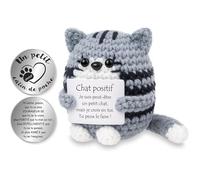 Chat Positif, Cadeau Chat Optimiste Faite Main avec Petit Câlin Porte-Bonheur, Cadeau Remonter Le Moral, Bon Ⅰ Positif Chat