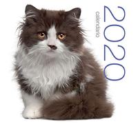Chats Calendrier mural 2020.