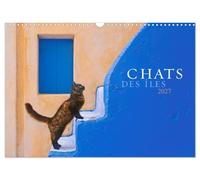 Chats des îles (Calendrier mural 2027 DIN A3 vertical), CALVENDO calendrier mensuel: De belles photos de la magie et de l'âme des chats dans les îles grecques