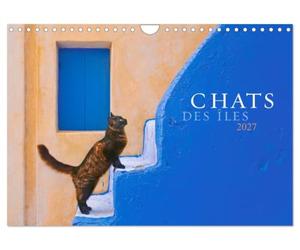 Chats des îles (Calendrier mural 2027 DIN A4 vertical), CALVENDO calendrier mensuel: De belles photos de la magie et de l'âme des chats dans les îles grecques