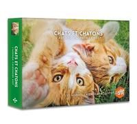Chats et chatons - Agenda - Calendrier - 2027 - Collectif - Hugo Image - Agenda