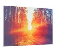 Chauffage Infrarouge Fixation Murale Klarstein Wonderwall Air Art Infinite 90x60cm 580W Multicolore G