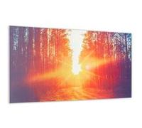 Klarstein Radiateur Infrarouge Mural, Chauffage Infrarouge 720W, Panneau Chauffant Infrarouge Puissant, Radiateur Electrique Extra Plat, Salle de Bain, Sans CO2, Faible Consommation d'Energie