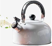 Chauffe-eau à gaz pour le camping
