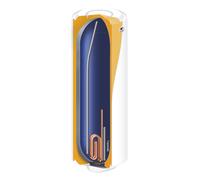Chauffe-eau électrique blindé vertical mural 200 L THERMOR 251085