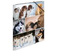 Chemise à élastiques 'chiens', en carton,