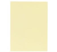 EXACOMPTA Paquet de 50 chemises 1 rabat SUPER 210 - 24x32cm - Canari