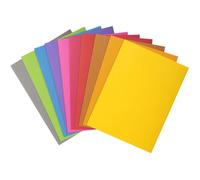 Exacompta - Chemise Rock's 210 g - 24 x 32 cm - Couleurs assorties - Paquet de 50