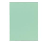Chemise qualité supérieure 210 g Exacompta 24 x 32 cm couleur vert - Paquet de 100