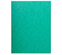 Exacompta Chemise simple sans élastique, 3 rabats, carte lustrée 400 g/m², A4, Vert