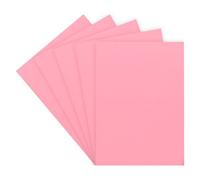 Chemise standard 160 g 24 x 32 cm couleur - Paquet de 100 - rose