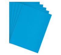 Chemise standard 210 g Bruneau 24 x 32 cm bleue - Paquet de 100 - Chemises cartonnées - Bruneau