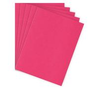 Chemise standard 210 g Bruneau 24 x 32 cm framboise - Paquet de 100 - Chemises cartonnées - Bruneau