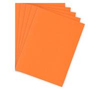 Chemise standard 210 g Bruneau 24 x 32 cm orange - Paquet de 100 - Chemises cartonnées - Bruneau
