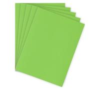 Chemise standard 210 g Bruneau 24 x 32 cm verte - Paquet de 100 - Chemises cartonnées - Bruneau