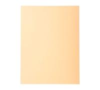 Chemise standard 210 g Exacompta Forever 24 x 32 cm - Paquet de 100 - Bulle