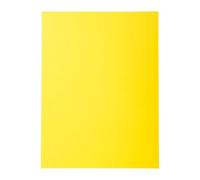 Chemise standard 210 g Exacompta Forever 24 x 32 cm - Paquet de 100 - Jaune