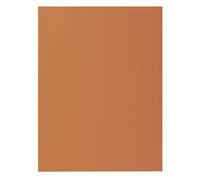 Chemise standard 210 g Exacompta Rock''s 24 x 32 cm havane - Paquet de 100