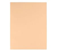 Chemises recy s 170 g Exacompta 24 x 32 cm couleur - Paquet de 100 - bulle