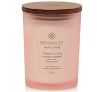 Chesapeake Bay Bougie parfumée | Stillness + Purity Bougie d'aromathérapie moyenne | Durée de combustion : jusqu'à 57 heures | Collection Mind & Body
