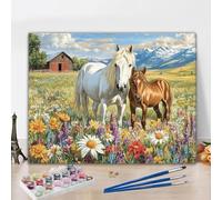 Cheval Peinture Numero Enfant, 25x40 cm Peinture Numero Adulte Ferme Canevas Adulte Enfant Débutant Facile DIY de Kit avec Acrylique et Pinceaux, Paint by Numbers for Adults pour Femme Cadeau Y3-77
