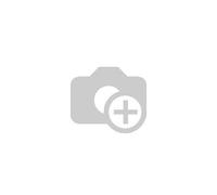 Cheville rallongée SXR 8x120 T Fischer 503002