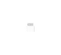 Chevilles à frapper nylon clou tête plate 6X40mm boîte de 150 - - YZP6040