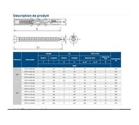Chevilles longue universelle nylon tête fraisée 10X240 boîte de 25 RAWL R FF1 N 10L240