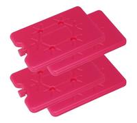 CHICAMPERA 4 Pièces Bloc Glace pour Glaciere Réutilisable 200ml en PE, Design Compact et Pratique pour Boissons et Aliments, Ambiance Estivale au Bureau Voiture