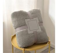 Chickwin Couleur Unie Plaid Couverture Polaire en Flanelle, Chaude Couvre lit 1/2 Personnes Jeté de Canapé Douce et Chaude Moelleuse Dessus de lit Canapé lit (100x150cm,Gris Clair)