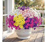 Chicpant 12 Fleurs Artificielles Exterieur Intérieure Vent Pluie Aux UV | Fausse Fleurs Résistant Fleurs Artificielles Haut De Gamme Artificielles Haut De Gamme Maison Jardin Balcon Porche