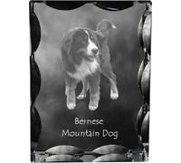 Chien de berger bernois - cristal avec photo du chien, statuette en verre avec photo, cadre unique avec photo de la marque Art-Dog