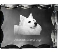 Chien esquimau américain - cristal avec photo du chien, statuette en verre avec photo, cadre unique avec photo de la marque Art-Dog