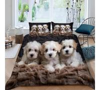 Chien Housse de Couette 160x200 Parures de Lit 1 Personne Imprimé 3D Microfibre Douce Animaux Mignons et Animaux de Compagnie Housses Couette avec 2 Taies d'oreiller et Fermeture Éclair k.3966