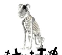 Chien Squelette Crâne de Chiot Assis Halloween à Articulations Mobiles