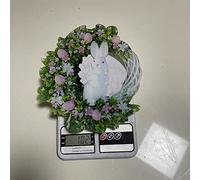Chiyyak Couronne D'œufs de Lapin de Pâques, Belle Couronne D'œufs de Lapin en Acrylique, Ornements D'intérieur et D'extérieur pour la Décoration de la Maison (Liste du rose)