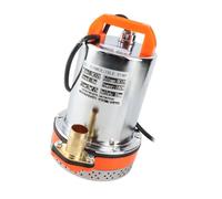 Chiyyak Pompe Submersible CC à Piles, Idéale pour L'irrigation du Jardin et L'arrosage des Fermes (12V)