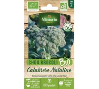 Chou Brocoli Calabrese Natalino - BIO