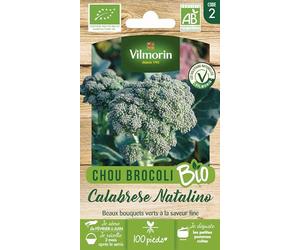 Chou Brocoli Calabrese Natalino - BIO