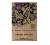 Chou de Bruxelles ''Groninger'' (Brassica oleracea) 200 graines de Chou à germer, Chou de Bruxelles, Pousses de choux.