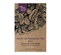 Chou de bruxelles violet 'Red Ball' (Brassica oleracea var.gemmifera) env. 20 semences