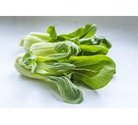 Chou de Chine Pak Choi 200 Graines