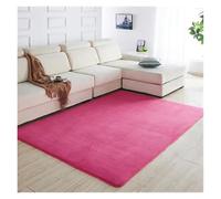 CIGPKLO Tapis en Polaire Corail Tapis en Velours Corail, Couverture for Salon, Table Basse, Chambre à Coucher, Chevet, lit, Avant, Tatami, Yoga, 140cm x 200cm(3,80x160cm)