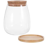 Ciieeo 2 Kits de Multiplication de Plantes Hydroponiques en Verre avec Bouchon en Liège Percé et Plateau en Bambou, Vase de Culture D’intérieur Grand Format pour Propagation Racinaire,