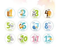 Ciieeo Lot de 12 Autocollants Bébé Mois en Film Adhésif, Accessoires Photo Pratiques et Adorables pour Baby Shower et Vêtements
