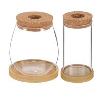 Ciieeo Vase de Propagation en Verre Borosilicate 2 Pièces avec Bouchon en Liège et Plateau, pour Plantes Aériennes et Succulentes, Design Élégant pour Mini-Jardins